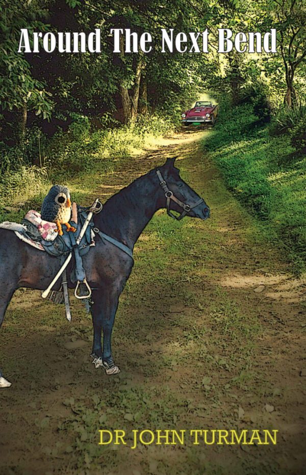 A person on a horse in the middle of a dirt road.