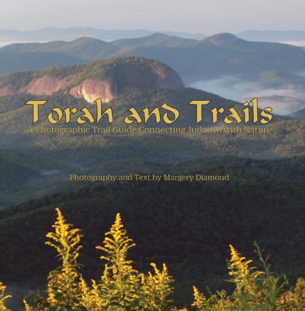 A book cover titled "Torah and Trails," featuring a scenic view of a mountainous landscape with a foreground of wildflowers.
