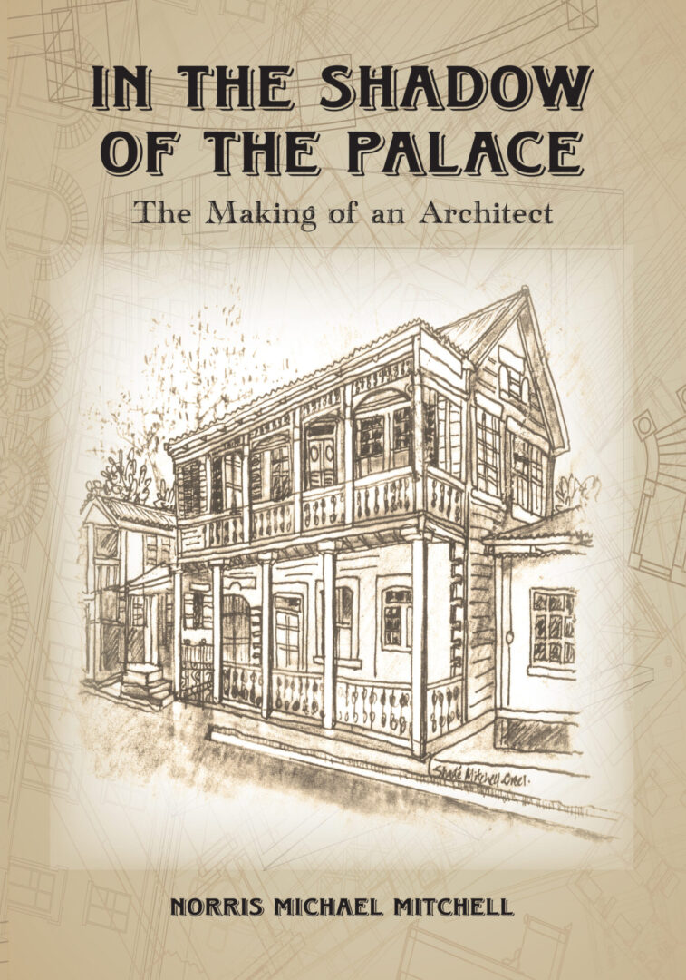 Cover of "In the Shadow of the Palace" by norris michael mitchell, featuring a sketch of a traditional house.