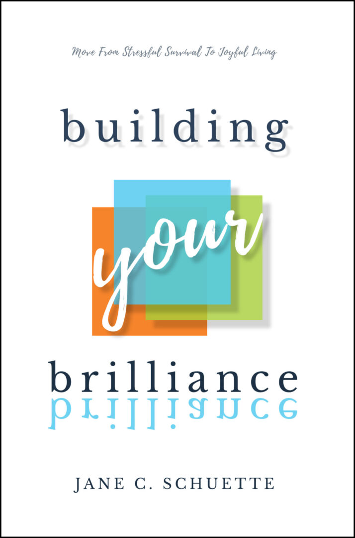 A Building Your Brilliance book cover with the title "Building Your Brilliance" by Jane C. Schuette, featuring a colorful abstract design and a subtitle that reads "Move from stressful survival to joyful living".