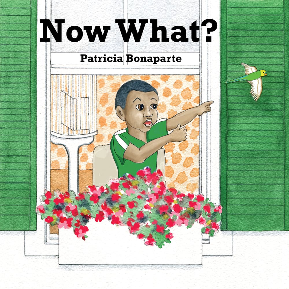 A boy appears surprised as he points out of a window at a flying bird, with the text "Now What?" and the author's name, Patricia Bonaparte, overlaid.