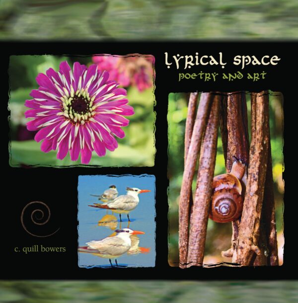 A collage of nature-themed images including a vibrant pink flower, birds on a perch, and a snail on twigs, with the phrases "Lyrical Space: Poetry and Art" and "c. quill bowers".