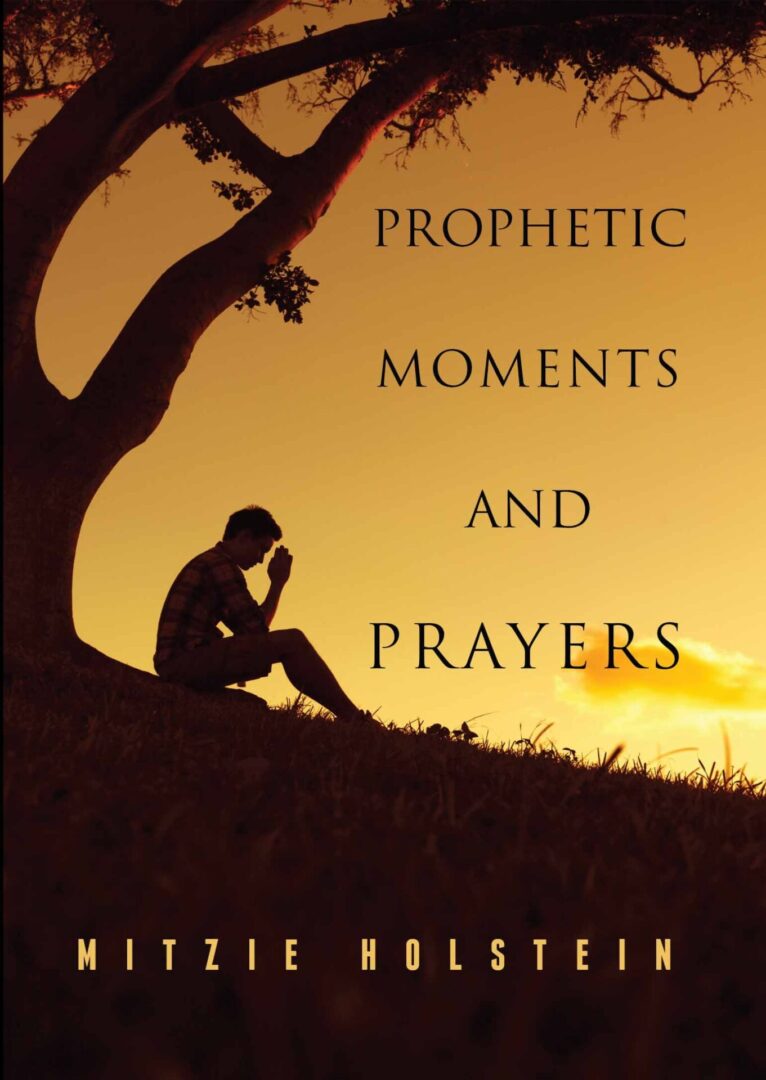 A person sitting under a tree in contemplation during sunset on the cover of a book titled "Prophetic Moments and Prayers" by Mitzie Holstein.