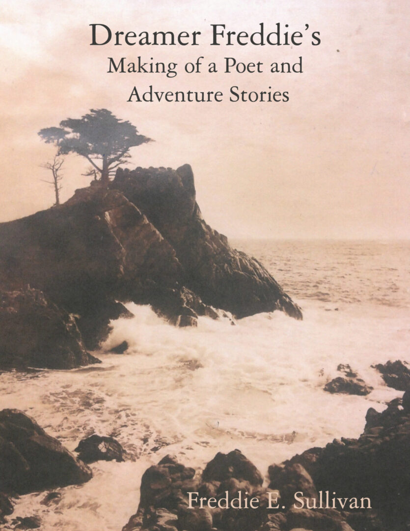 Sentence with product name: Dreamer Freddie’s book cover titled ‘making of a poet and adventure stories’ by freddie e. sullivan featuring an image of a lone tree on a rocky cliff overlooking a turbulent sea.