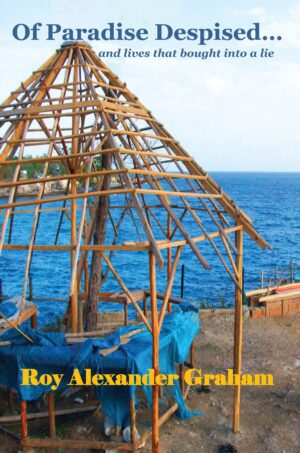 Unfinished wooden structure by the sea with a blue tarp, titled 'Of Paradise Despised' by Roy Alexander Graham.