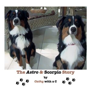 The Astro & Scorpio Story - Hardcover