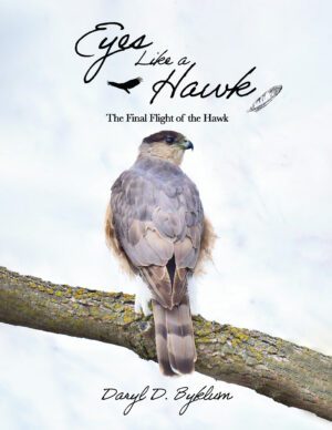 Eyes Like a Hawk, Book 3
